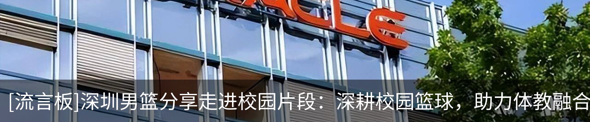 新闻动态